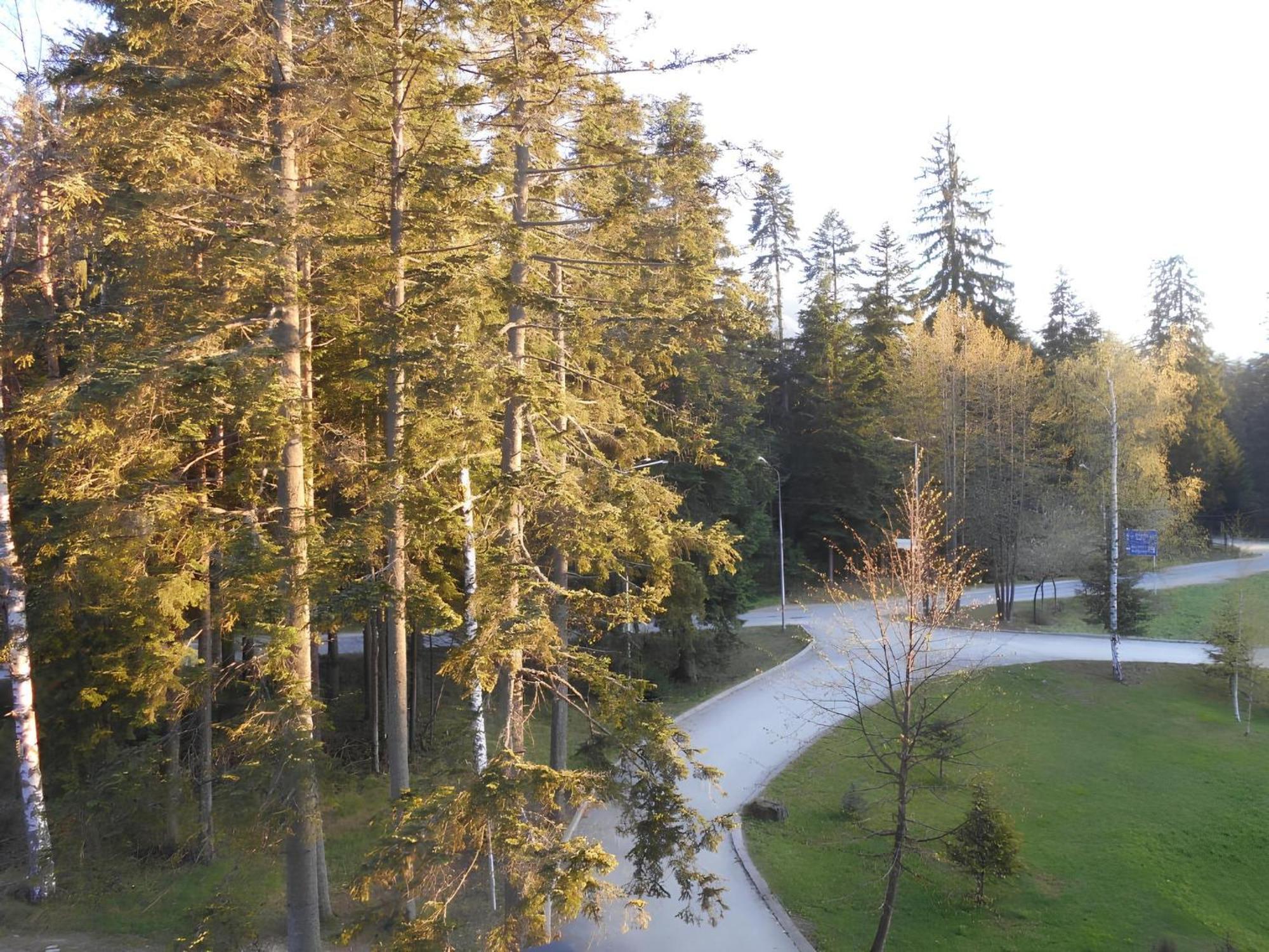 Neat Studios In "Borovets Gardens" Hotel Dış mekan fotoğraf